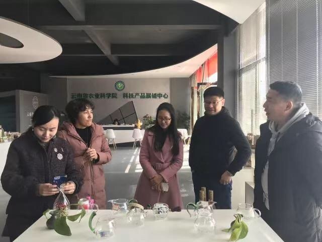 【专业大公开】电子商务(本科) 第 16 张 【专业大公开】电子商务(本科) 第 16 张