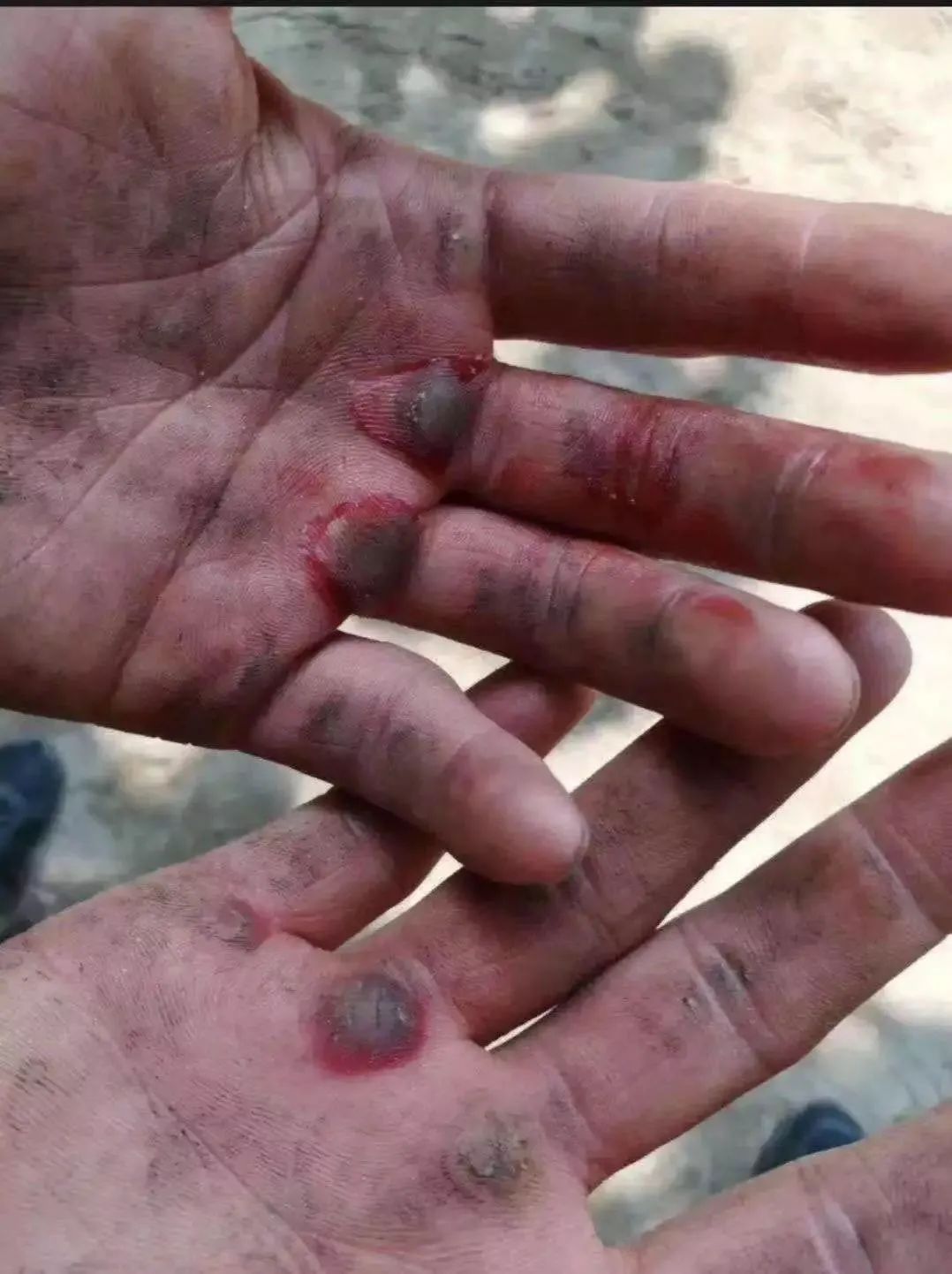 经管教师在“看照片讲故事”中荣获佳绩！她讲述了这样的故事...... 第 5 张