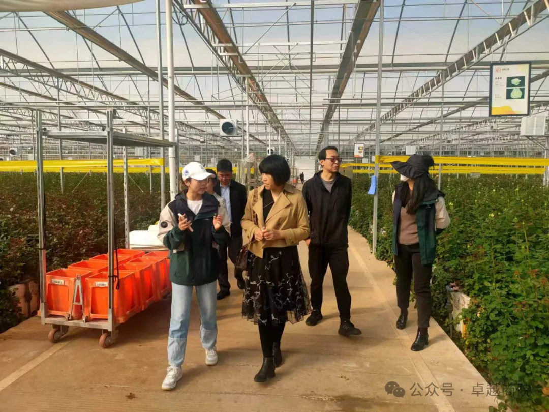 图片9.png 图片9.png