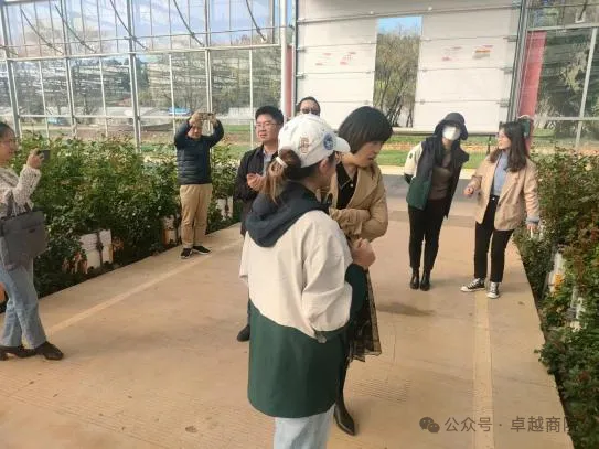 图片11.png 图片11.png