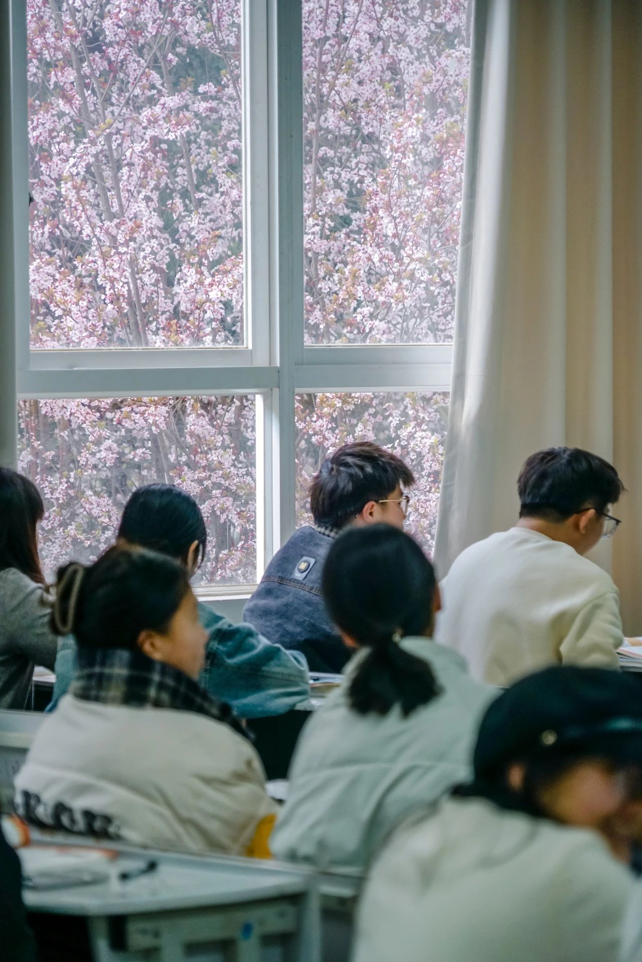 云南经济管理学院春季学期开学！ 第 6 张