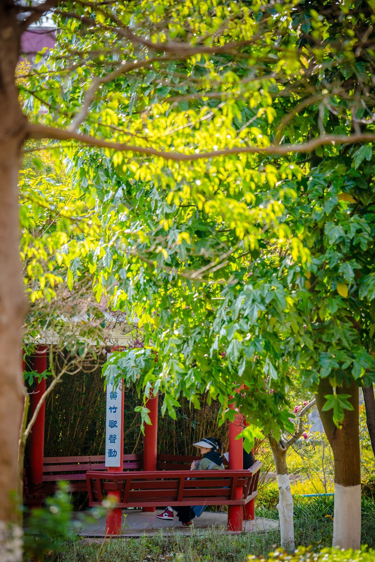 云南经济管理学院春季学期开学！ 第 8 张