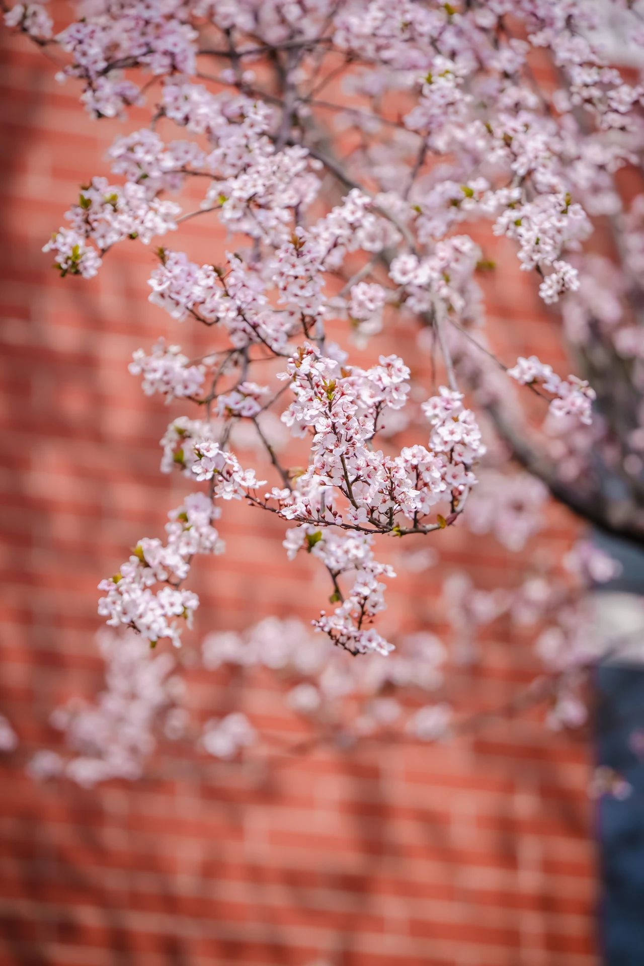 云南经济管理学院春季学期开学！ 第 10 张
