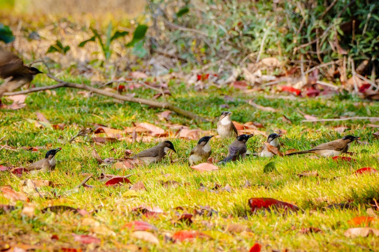 云南经济管理学院春季学期开学！ 第 14 张