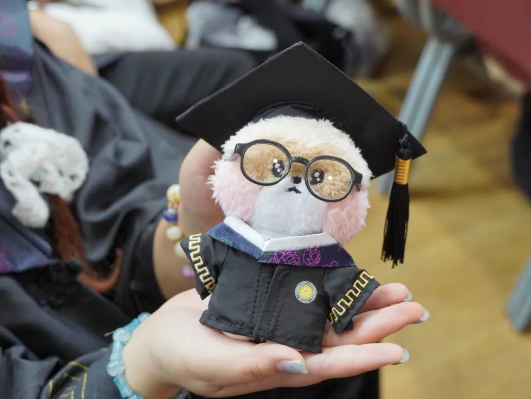 云南经济管理学院2025年毕业典礼隆重举行！ 第 30 张