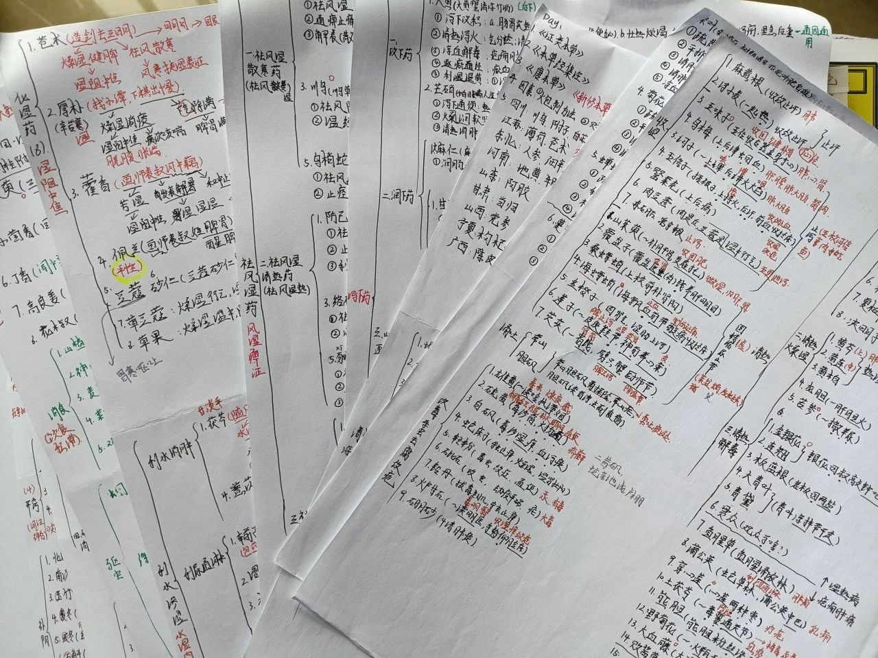 “偏要考上！”她做到了?? 第 12 张