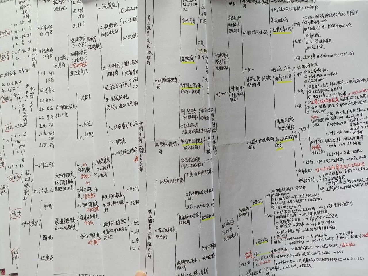 “偏要考上！”她做到了?? 第 11 张