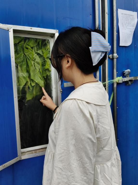 暑期社会实践 | 生物质燃料颗粒+自动化烘烤：烟草加工迈向“零碳”未来 第 6 张