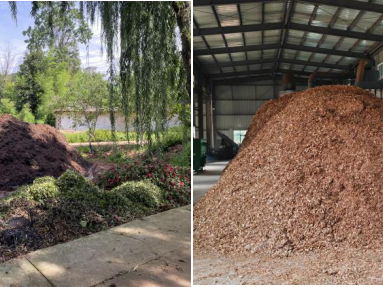 暑期社会实践 | 从课堂到田间地头，实践队用脚步踩出循坏经济的青春印记 第 4 张