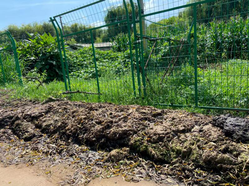 暑期社会实践 | 从课堂到田间地头，实践队用脚步踩出循坏经济的青春印记 第 3 张