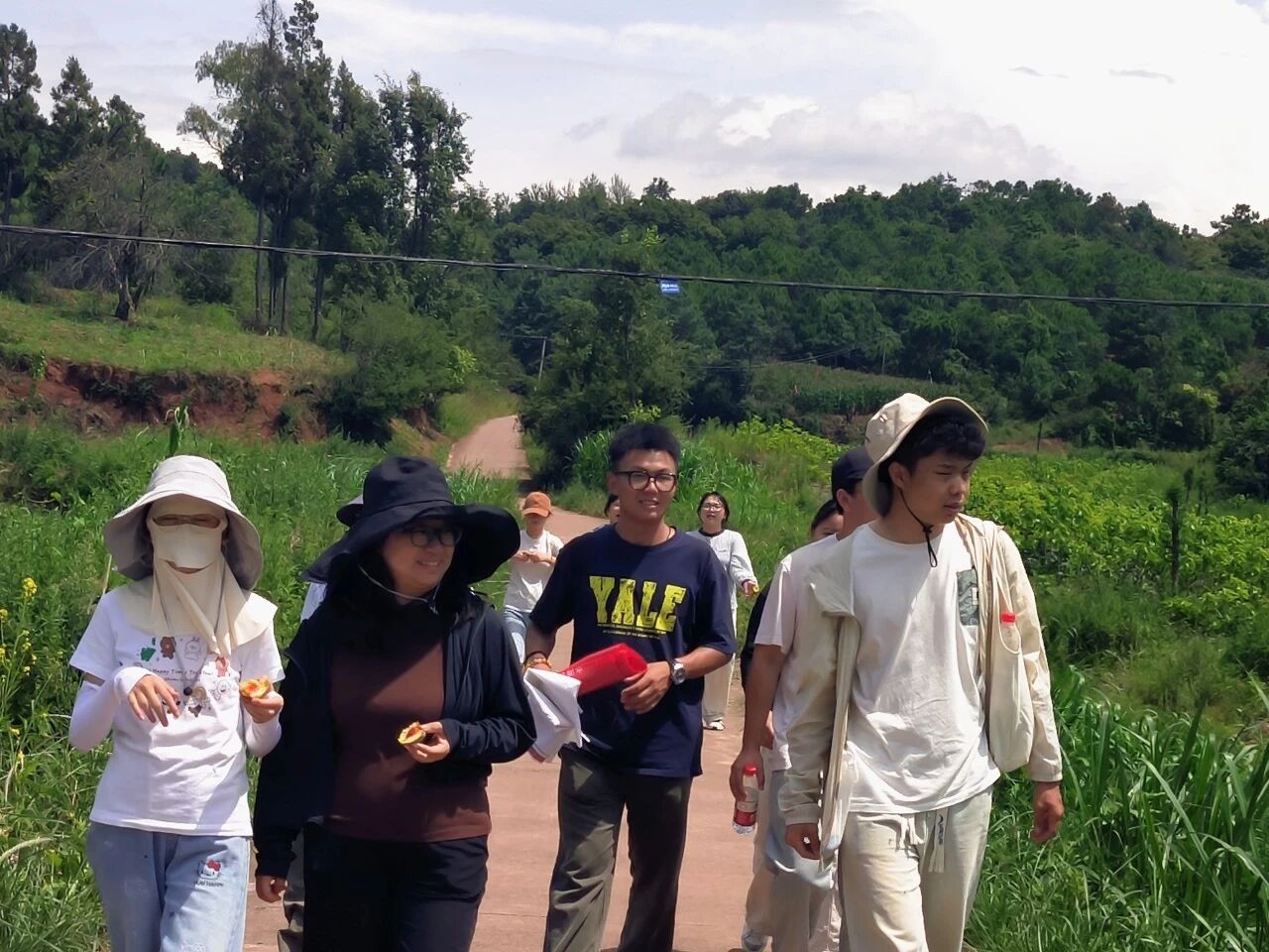 暑假社会实践 | 生态桑园绿意浓，“蚕”动绿色新经济--水源区固废变有机肥，麦地冲蚕丝织就国际路 第 3 张