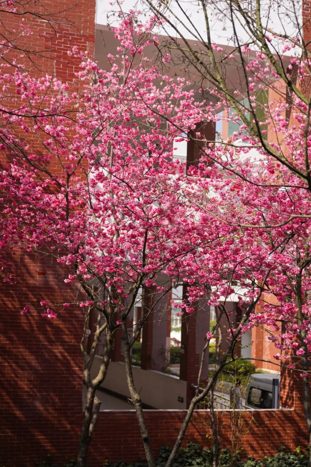 今天，云经管开学第一天！ 第 12 张