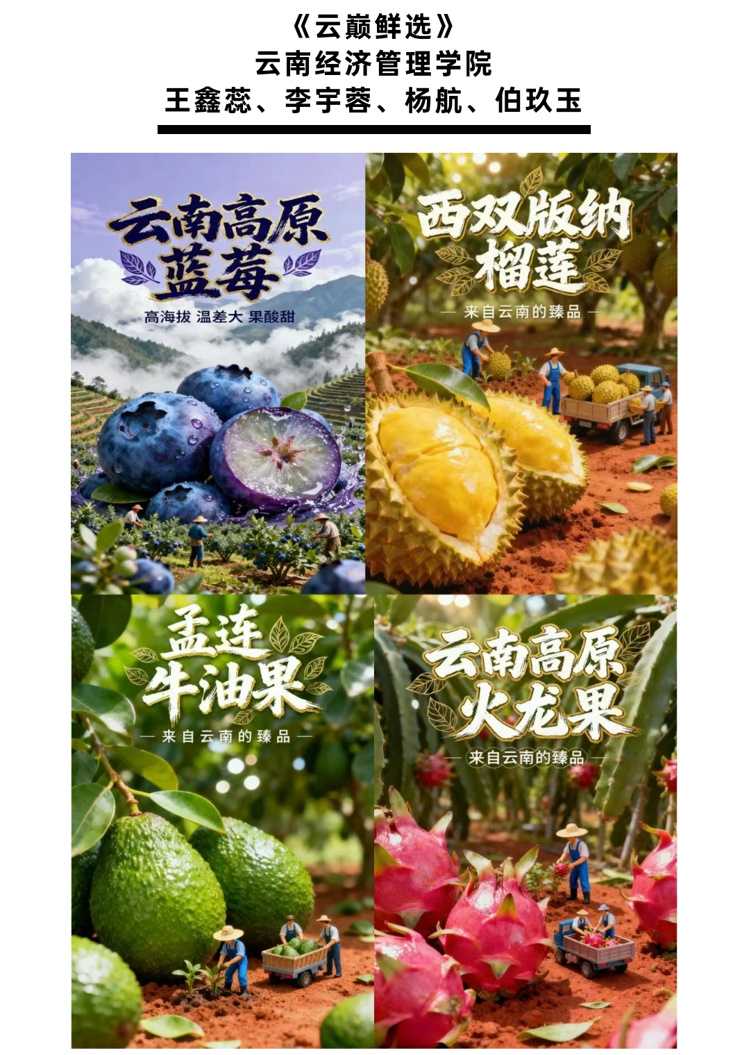 喜报！云经管学子在省市场监管公益广告活动中斩获佳绩 第 1 张