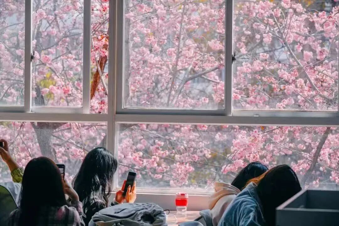 排名揭晓！云南经济管理学院全国10强?? 第 15 张