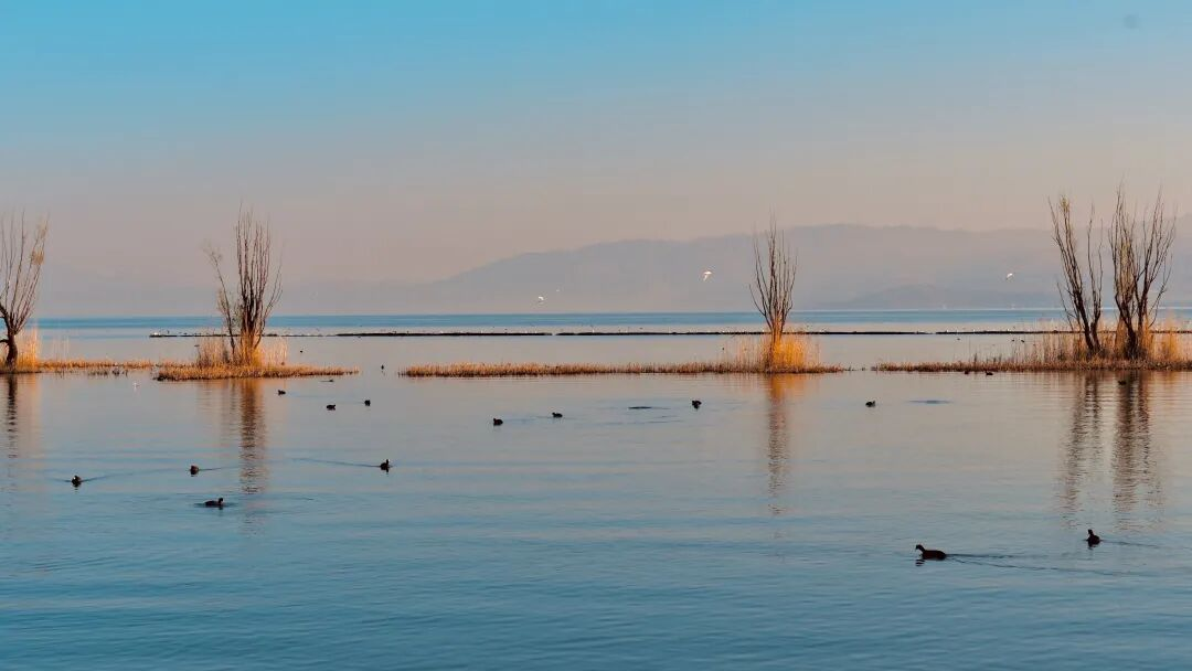 这个学姐很哇塞??！ 第 15 张