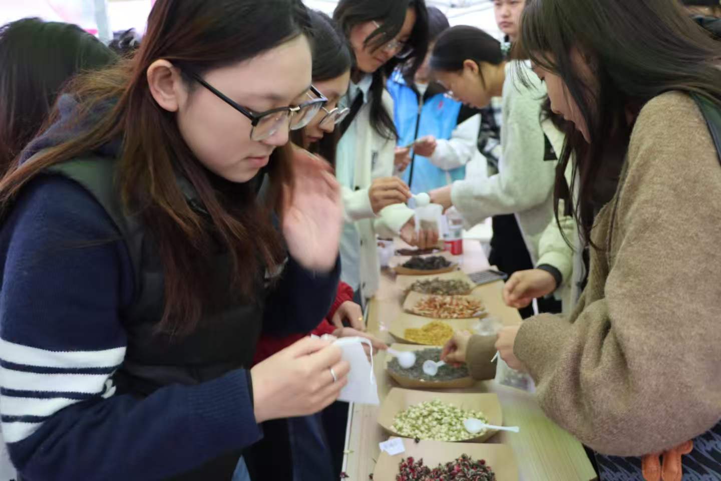 当樱花遇见中医药：医学院亮相校园开放日，传统医学“可尝可触” 第 3 张